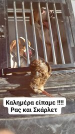FB_IMG_9202532568965927653.jpg