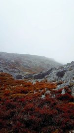 IMG_20231124_141636.jpg