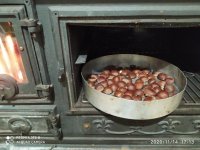IMG_20201114_171354.jpg