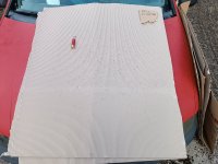 IMG_20240119_170426.jpg