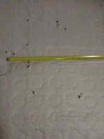 IMG_20240121_213249.jpg