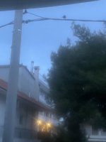 IMG_5020.jpeg