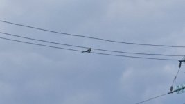 20240316_153454.jpg