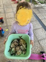 56292D52-2F89-49FE-B0A8-0946E3B118F5.jpeg