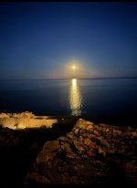 IMG_1166.jpeg