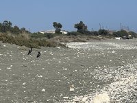 IMG_3152.jpeg