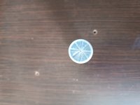 IMG_20240816_101751.jpg