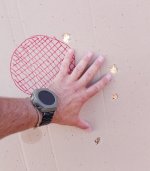 IMG_20240831_084208.jpg