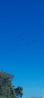20241007_130446.jpg