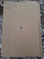 20241012_092929.jpg