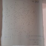 20241005_165338.jpg