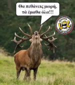 1733746991566.png