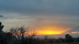 20250120_172536.jpg