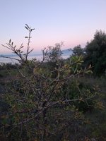 20250125_174428.jpg
