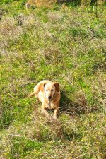IMG_20250212_153950.jpg