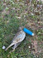 IMG_2722.jpeg