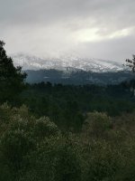 IMG_20250223_091110.jpg