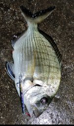 IMG_20250225_020850.jpg
