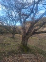 IMG_20250228_161809.jpg