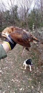 IMG-64545cf03891aab9459579de7f27af9d-V.jpg