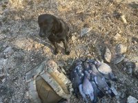 IMG_1845.jpeg