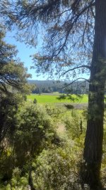 20250308_105527.jpg