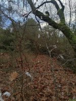 IMG_20250116_084402.jpg