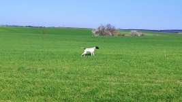 IMG_20250304_094722.jpg