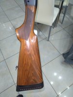 IMG_20250323_204219.jpg