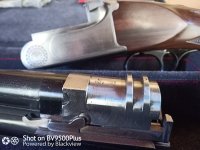 IMG_0019.jpeg
