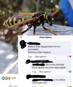 1745921285169.png
