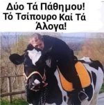 FB_IMG_1746805896342.jpg