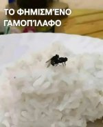 1747137288994.jpeg