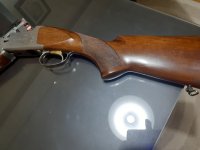 IMG_6636.jpeg