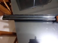IMG_6637.jpeg