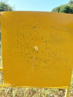 20250628_092153.jpg