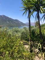 IMG_4404.jpeg
