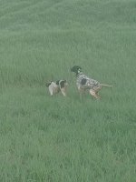 IMG_20250330_074106.jpg
