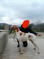 IMG_8109_Original_Original.jpeg