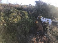 IMG_1608_Original.jpeg