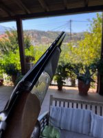 IMG_2252.jpeg