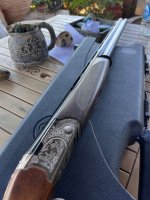 IMG_2254.jpeg