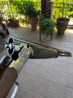 IMG_2255.jpeg
