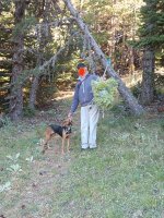 IMG_20250705_130955.jpg