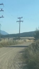 IMG_6723.jpeg