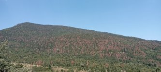 IMG_20250718_173542.jpg