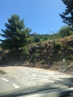 IMG_4575.jpeg