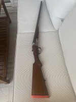 IMG_3330.jpeg
