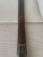IMG_3328.jpeg